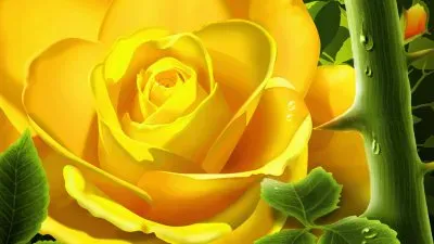 Yellow Rose jigsaw puzzle