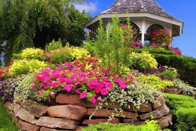 jardin