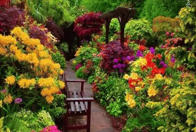 פאזל של jardin