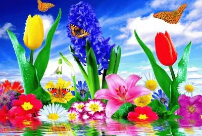 FLORES Y MARIPOSAS