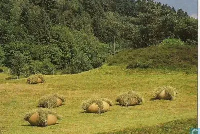 cendriers de foin