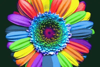 Rainbow Flower