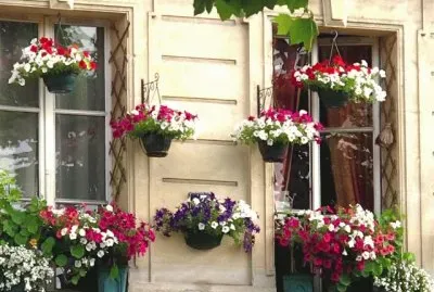 Ventanas floridas