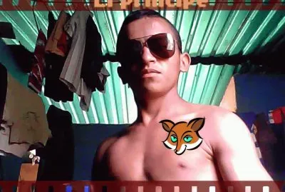 tigre veloz jigsaw puzzle