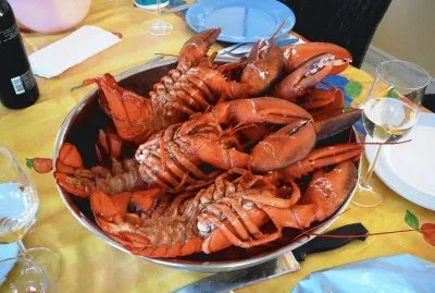Fresh Lobster Plate  New Brunswick  Canada