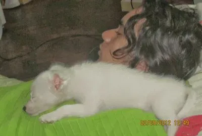 Tango y primo durmiendo