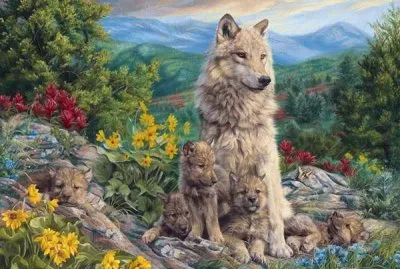 animais