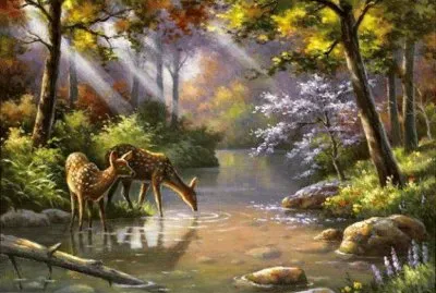 animais