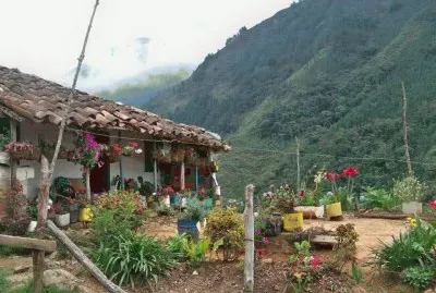 natureza