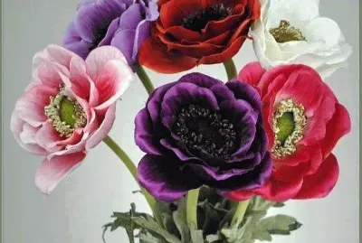 natureza jigsaw puzzle