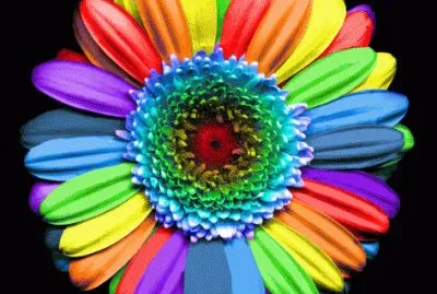 Rainbow Flower