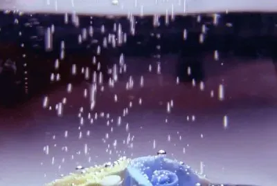 April Rain in Light Purple-Art