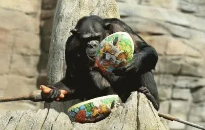 Easter present for Viktoria  Hannover Zoo