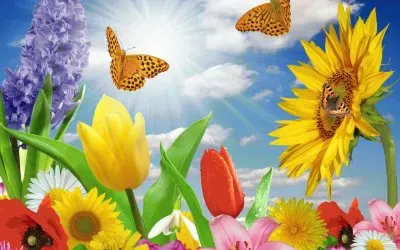 Spring with Butterflies
