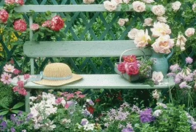 פאזל של Summer outdoor Arrangement