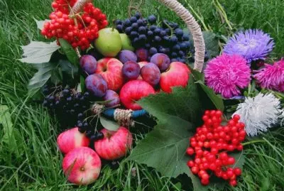 Fruit and Flowers