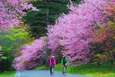 natureza