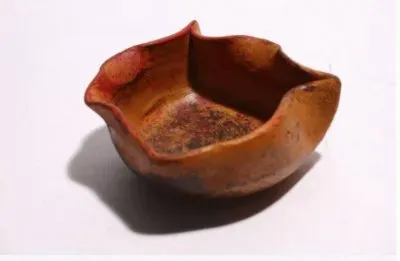 MARSU