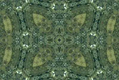MARSU