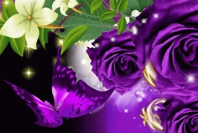Purple Roses and Butterfly