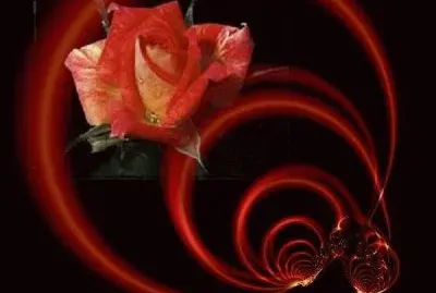 Rosa