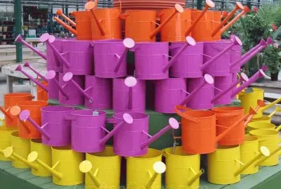 Purple and Other Colorful Watering Cans