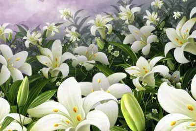 Field of white Flowers