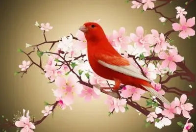 Red Bird in Springtime