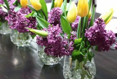 Purple Lilacs and Yellow Tulips