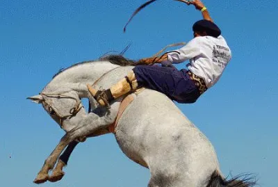 gineteada jigsaw puzzle