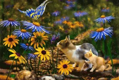 animais
