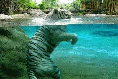 . jigsaw puzzle