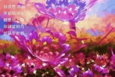  jigsaw puzzle