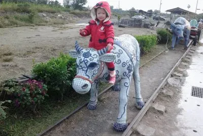 éª‘ç‰›ç‰›