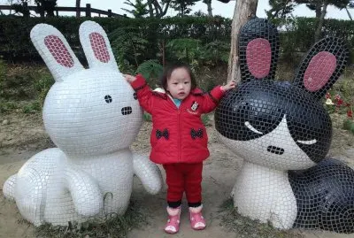 å…”å…”