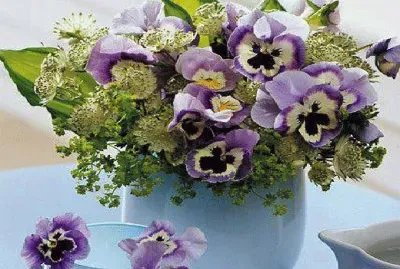 פאזל של flores