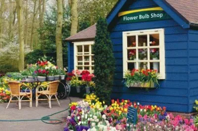 פאזל של Flower Bulb Shop