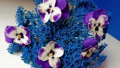 פאזל של Beautiful Violet