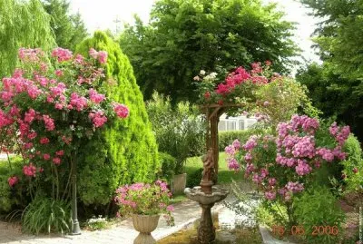פאזל של jardin