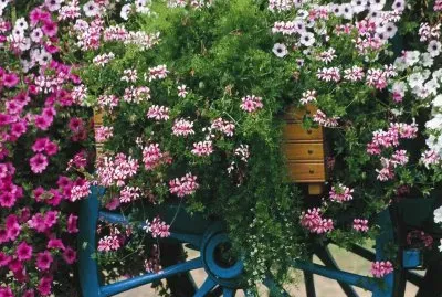 Flower Mix