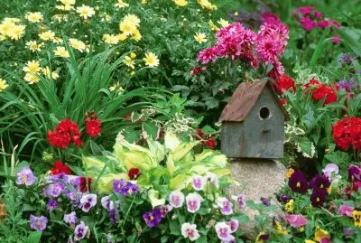 Flower Garden