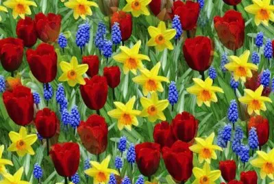 Most beautiful time of the Year