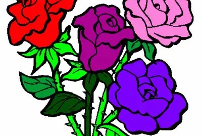 Flores coloridas