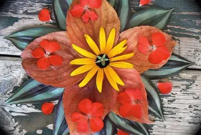 Natural Mandala