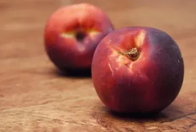 פאזל של MARSU