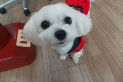 MARSU