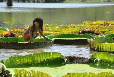 amazonia