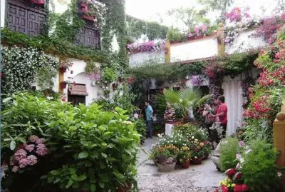 Patio con Flores. jigsaw puzzle