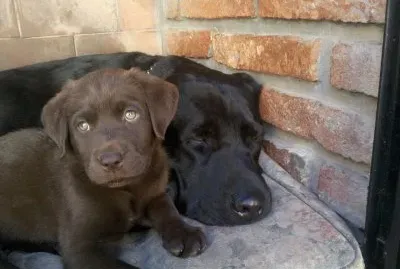 Igor y Kaatia bebÃ©