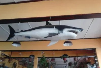 p14-12-13-1257{01}jpg